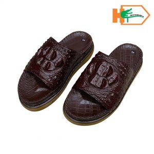 Dep Doctor Gù mã D-02